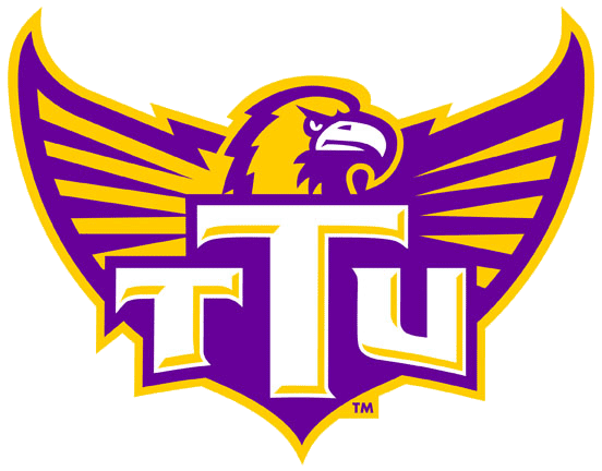 Tennessee Tech Golden Eagles 2006-Pres Alternate Logo diy DTF decal sticker